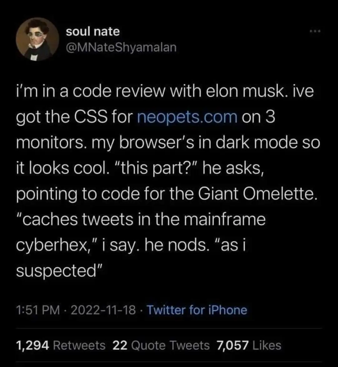 The meme is a screenshot of a Twitter post where someone is sharing a code review with Elon Musk. The text reads: "I'm in a code review with Elon Musk. I've got the CSS for neopets.com on 3 monitors. My browser's in dark mode so it looks cool. 'This part?' he asks, pointing to code. 'Caches tweets in the mainframe cyberhex, I say. He nods. 'As I suspected.'"
